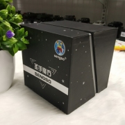 Rubik Shengshou 10x10 stickerless